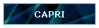 CAPRI