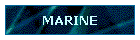 MARINE